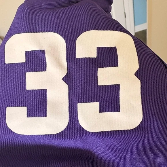 NFL Purple Vikings Jersey with White Accents